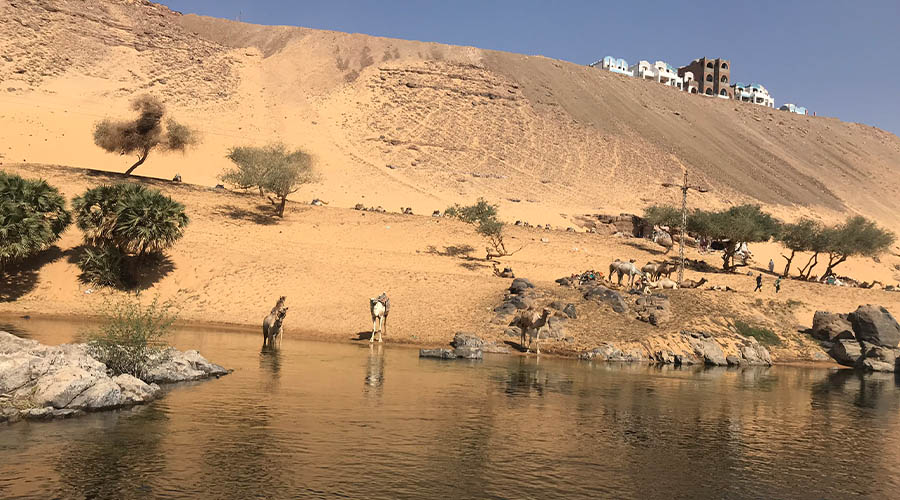 Ausflug von Marsa Alam nach Assuan und Abu Simbel